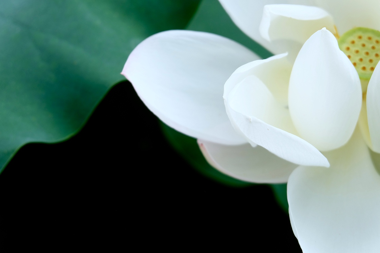 向往一抹清凉，生活是平平淡淡的美好（图ZMTIyMjI4NDQ4） - 风光摄影 - 站酷设计师仰天大笑出门去3原创素材 - 站酷ZCOOL