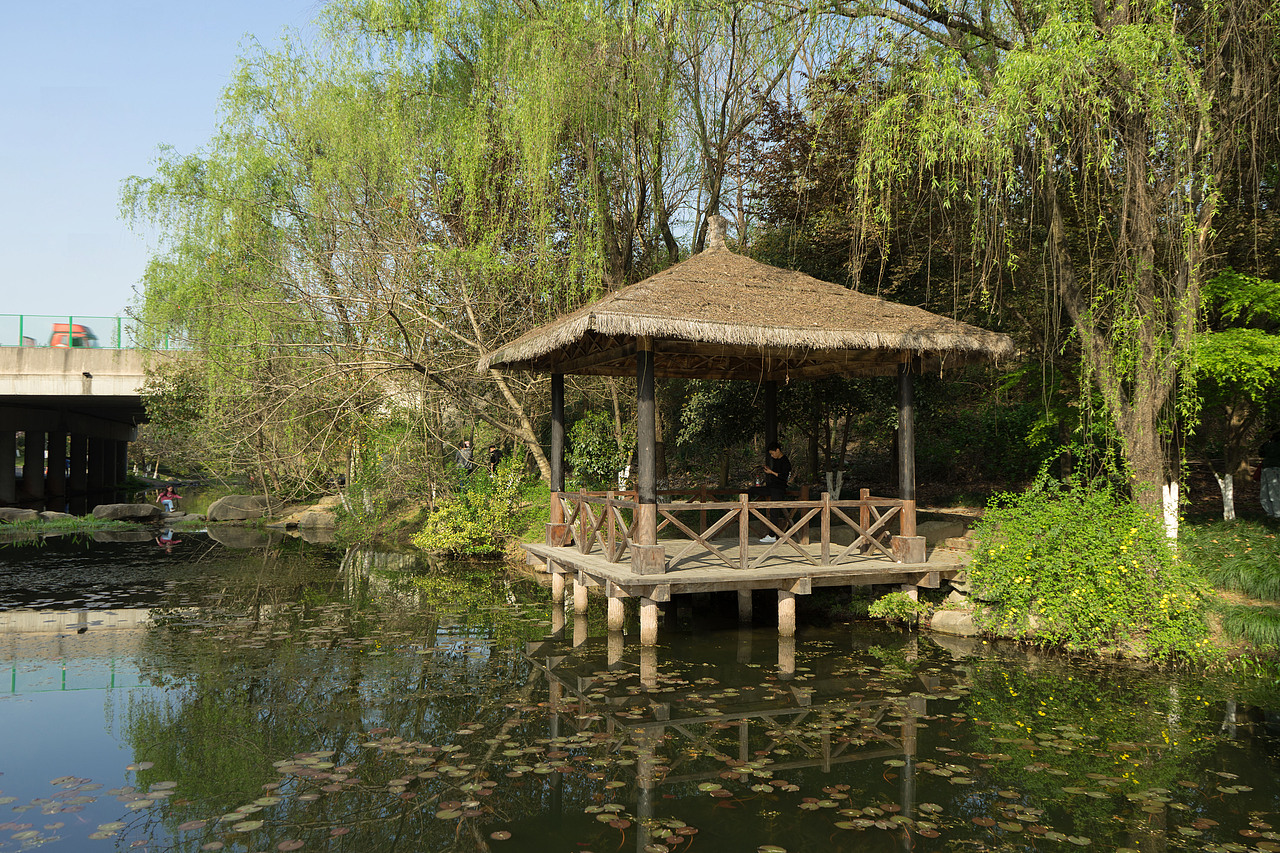 春天来赏樱花吧!