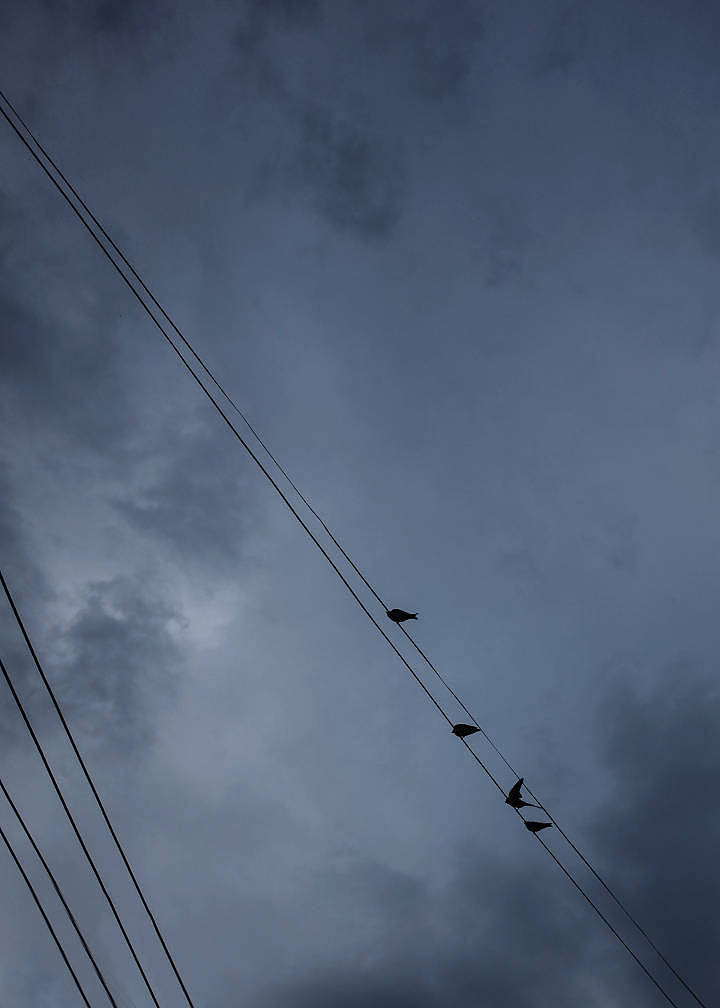 重复重复（图ZMTIzOTMzNzM2） - 人文/纪实摄影 - 站酷设计师行李丶原创素材 - 站酷ZCOOL