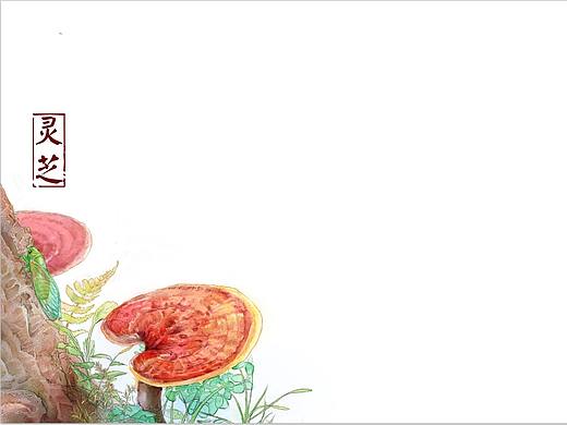 科普 儿插 中草药 植物
