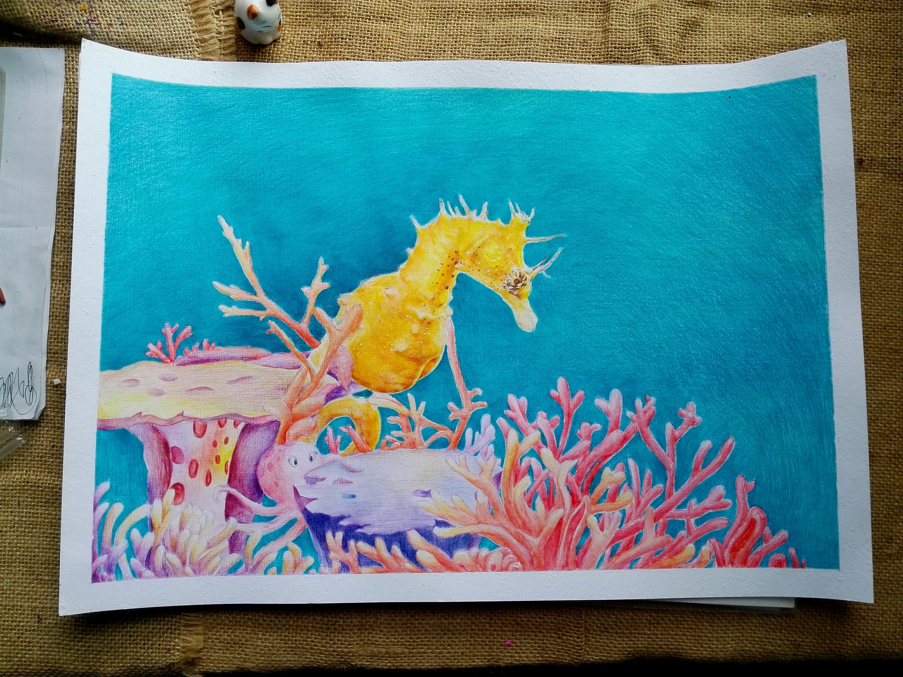 海马|插画|商业插画|jqy199591 - 原创作品 - 站酷 (zcool)