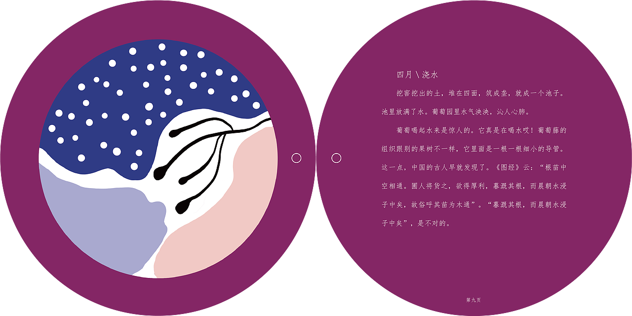 书籍插画设计-葡萄很甜