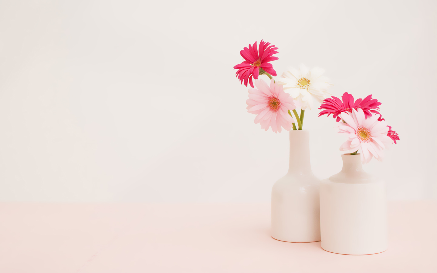 Fanyny梵妮的个人主页（背景预览） - 主页背景设置 - 站酷设计师Fanyny梵妮原创素材 - 站酷ZCOOL