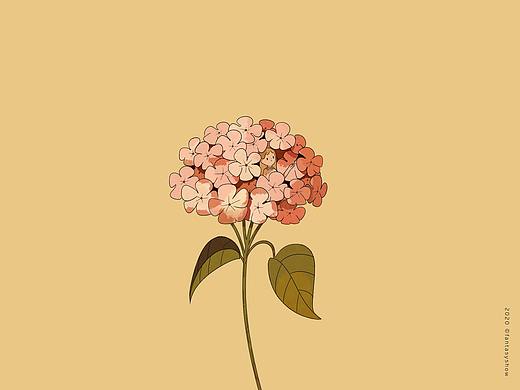 花落