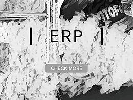 公司內(nèi)部erp首頁(yè)設(shè)計(jì)