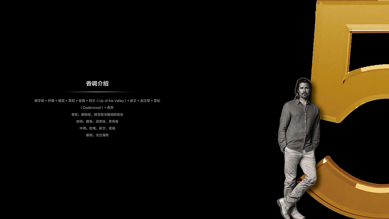 香奈儿5号画册设计