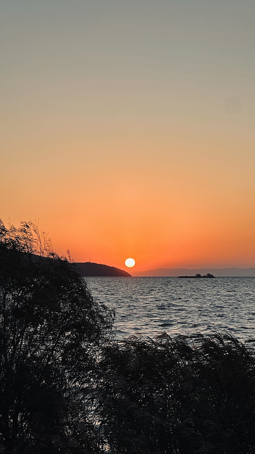 一些手機攝影作品（圖ZMzU0MDAxMDA4） - 人文/紀實攝影 - 站酷設(shè)計師LaBalena落落原創(chuàng)素材 - 站酷ZCOOL