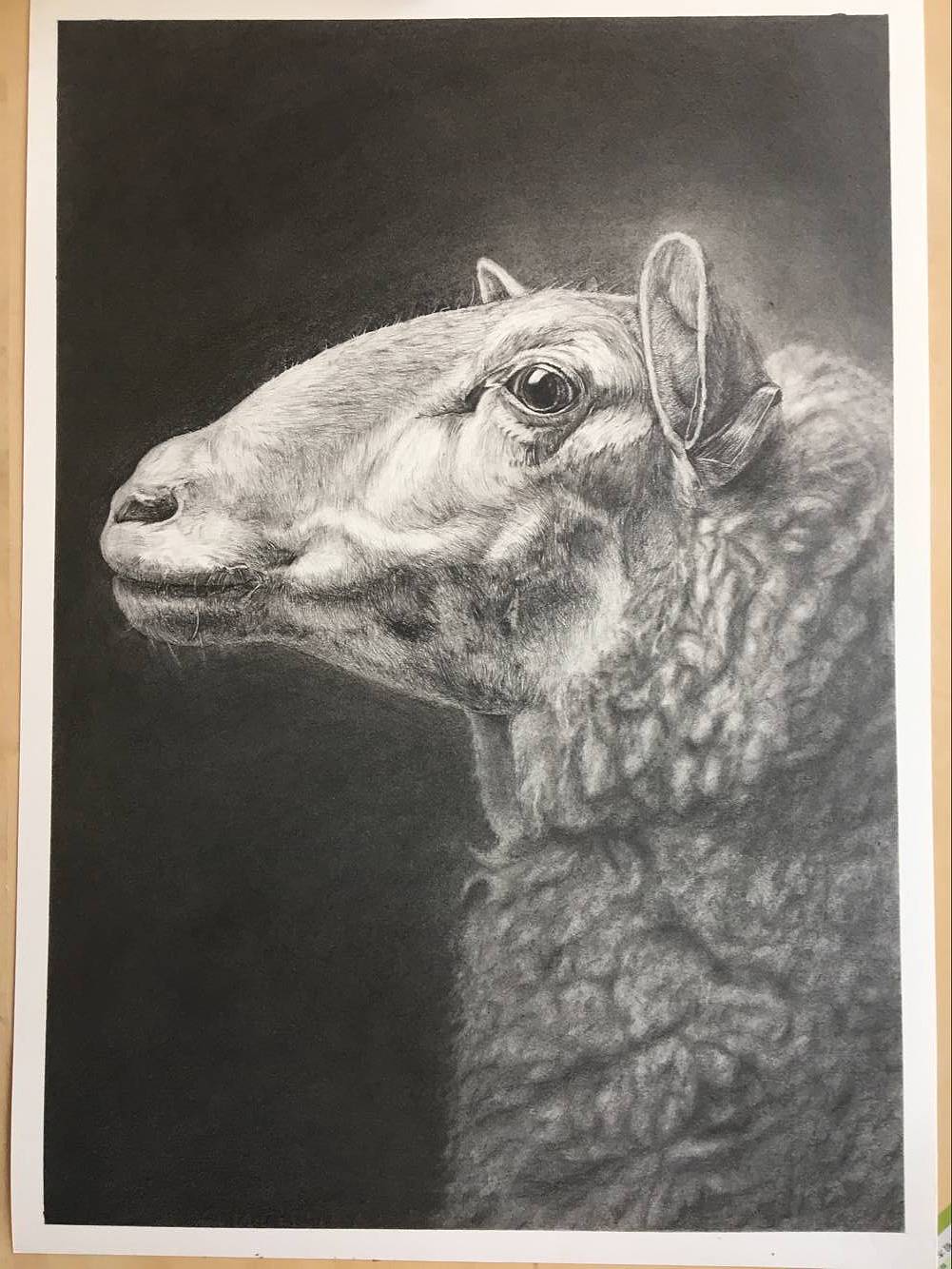 羊（图ZODY4NzU4MTY=） - 绘画 - 站酷设计师大肆DSHUAI原创素材 - 站酷ZCOOL