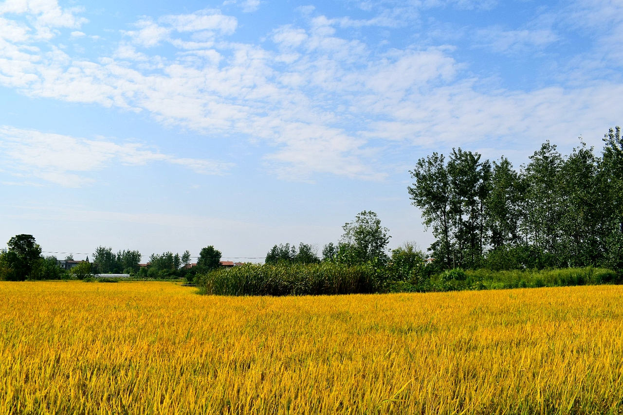 金秋国庆,我的家乡一景。