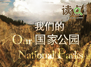 网页设计_日常活动banner（图ZMTI2MDQ0NDI4） - 运营设计 - 站酷设计师花花姐001原创素材 - 站酷ZCOOL