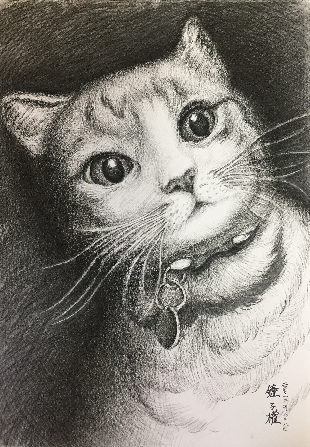 铅笔手绘猫|纯艺术|绘画|SecretSpace - 原创作品 - 站酷 (ZCOOL)