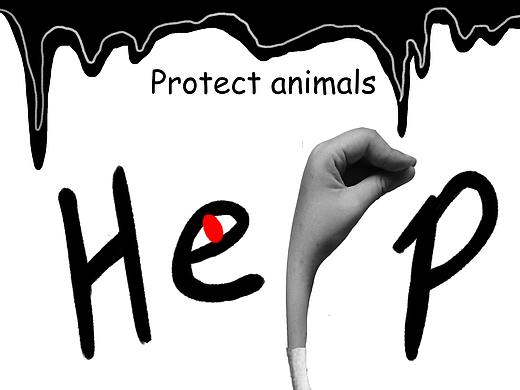保护动物