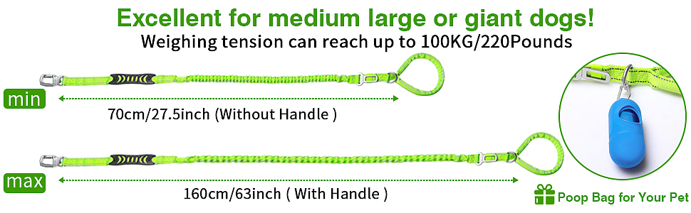 【新款弹力狗绳-绿色】—亚马逊精品主图|A+页