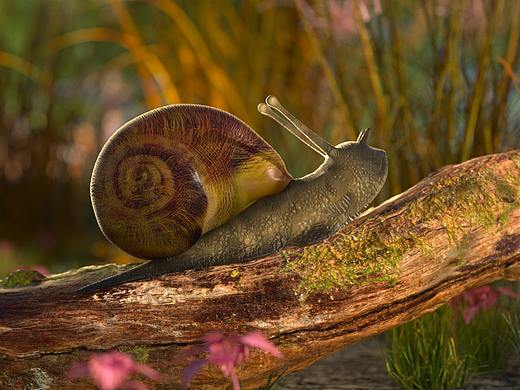 3S材质渲染 C4D OCTANE