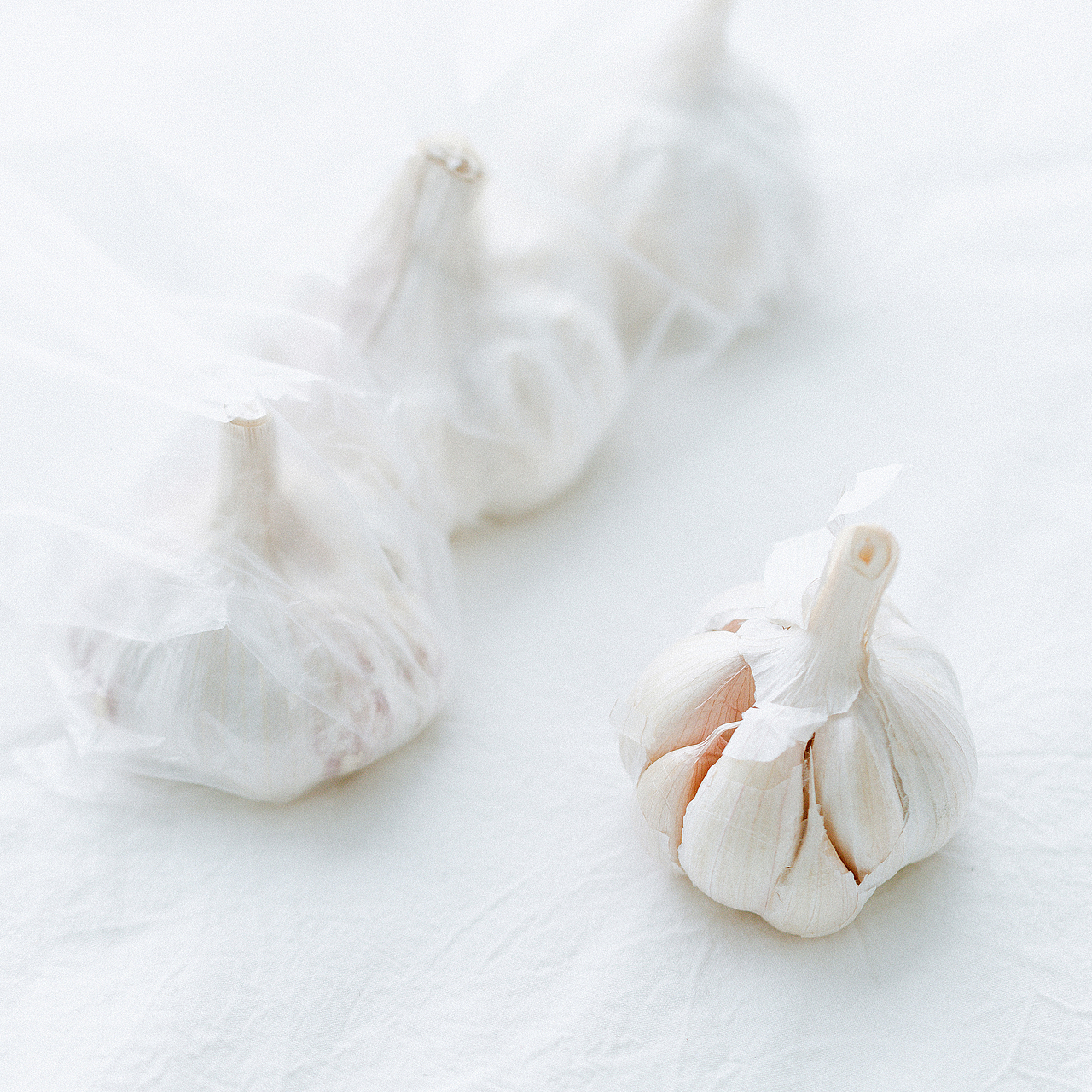 小清新 生活随拍