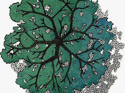 2019你好生活小画家之星大赛开赛宣传片