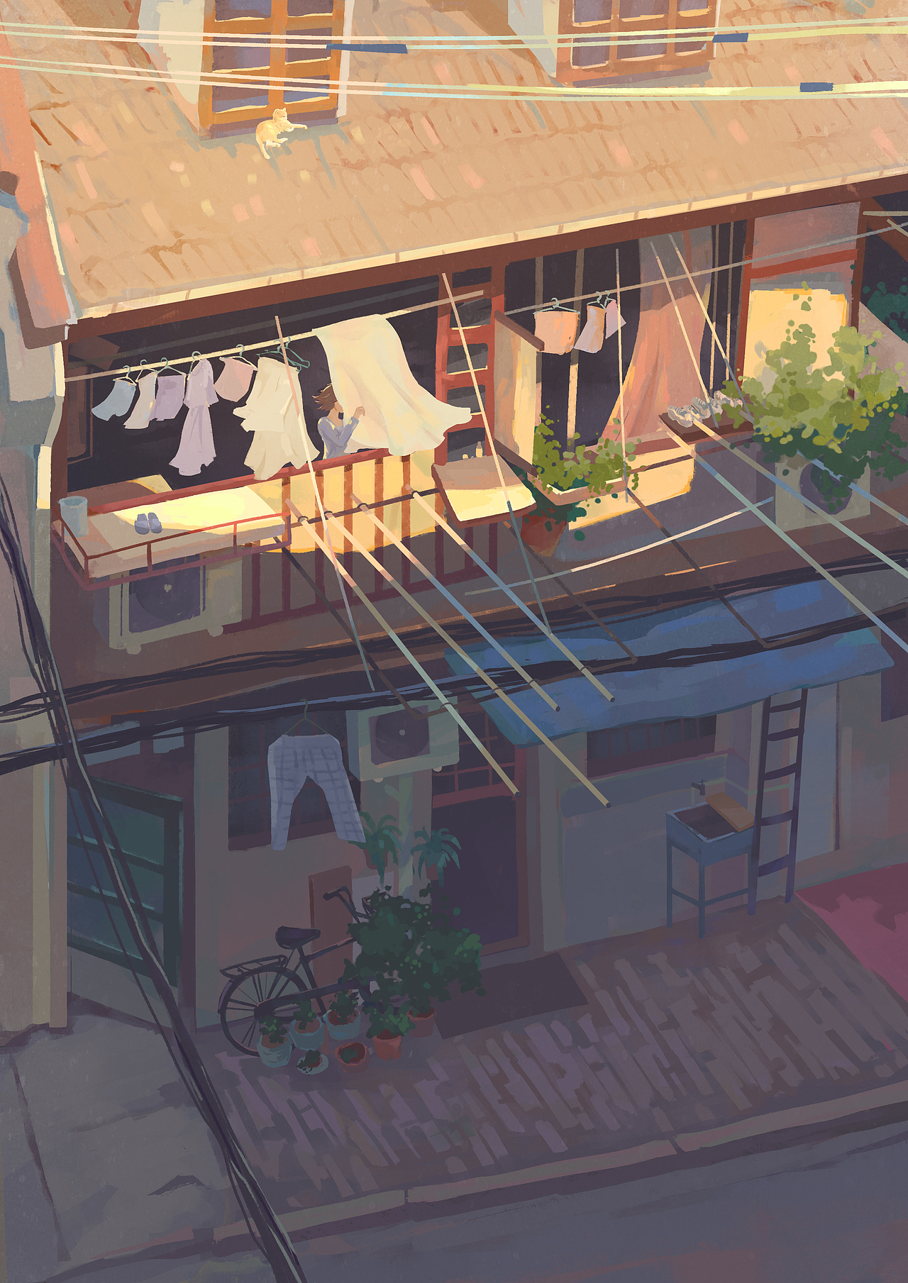 小阳台|插画|创作习作|糖谷一_原创作品-站酷zcool