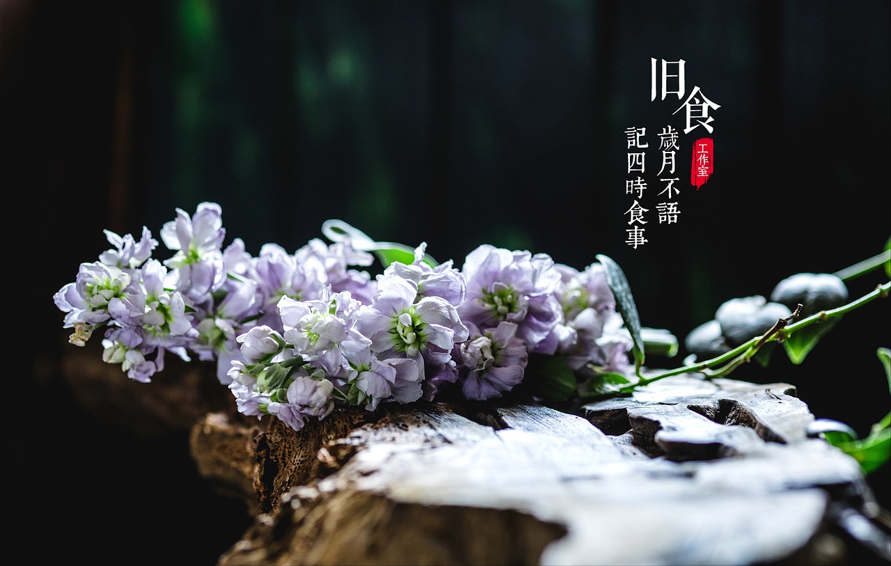 一组花朵（图ZMjU0MDQ5Nzky） - 其他摄影 - 站酷设计师旧食原创素材 - 站酷ZCOOL