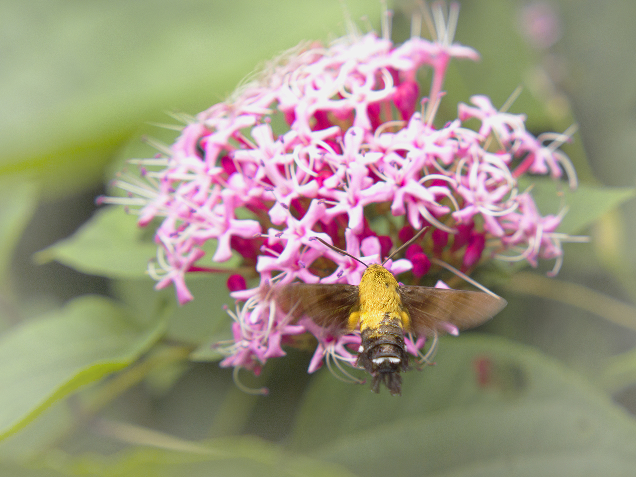 日常攝影（圖ZMTIxNDkyNzI0） - 風(fēng)光攝影 - 站酷設(shè)計師余幾點原創(chuàng)素材 - 站酷ZCOOL