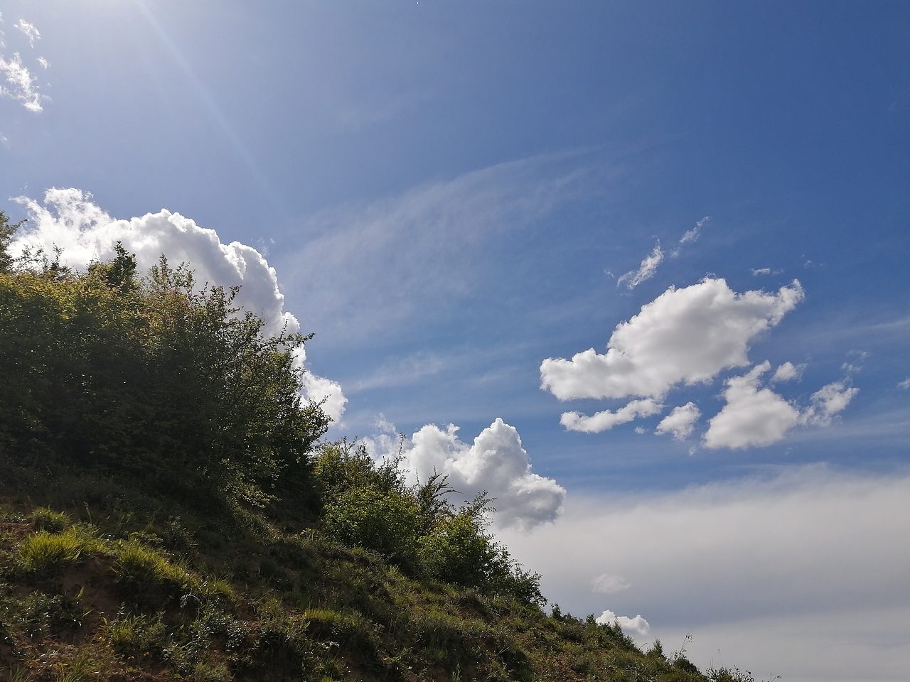 神奇的大自然的产物