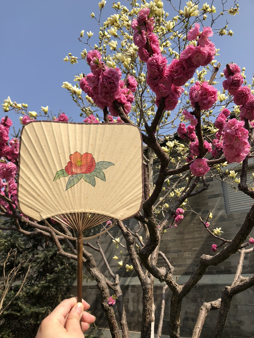 手绘水彩团扇（图ZMzM2MTkwODg4） - 工艺品设计 - 站酷设计师零食小组长原创素材 - 站酷ZCOOL