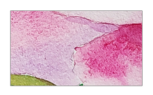 水彩花卉（图ZMjU2MTgzNzM2） - 创作习作 - 站酷设计师冰糖又葫芦原创素材 - 站酷ZCOOL