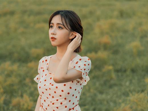 夏日已所剩无几