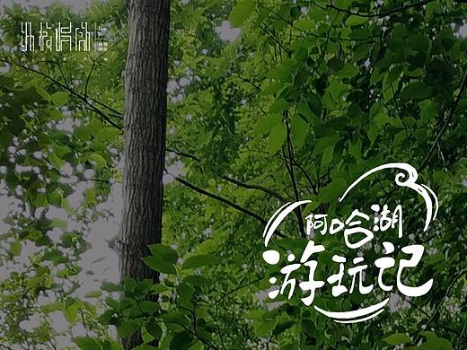 阿哈湖游玩记