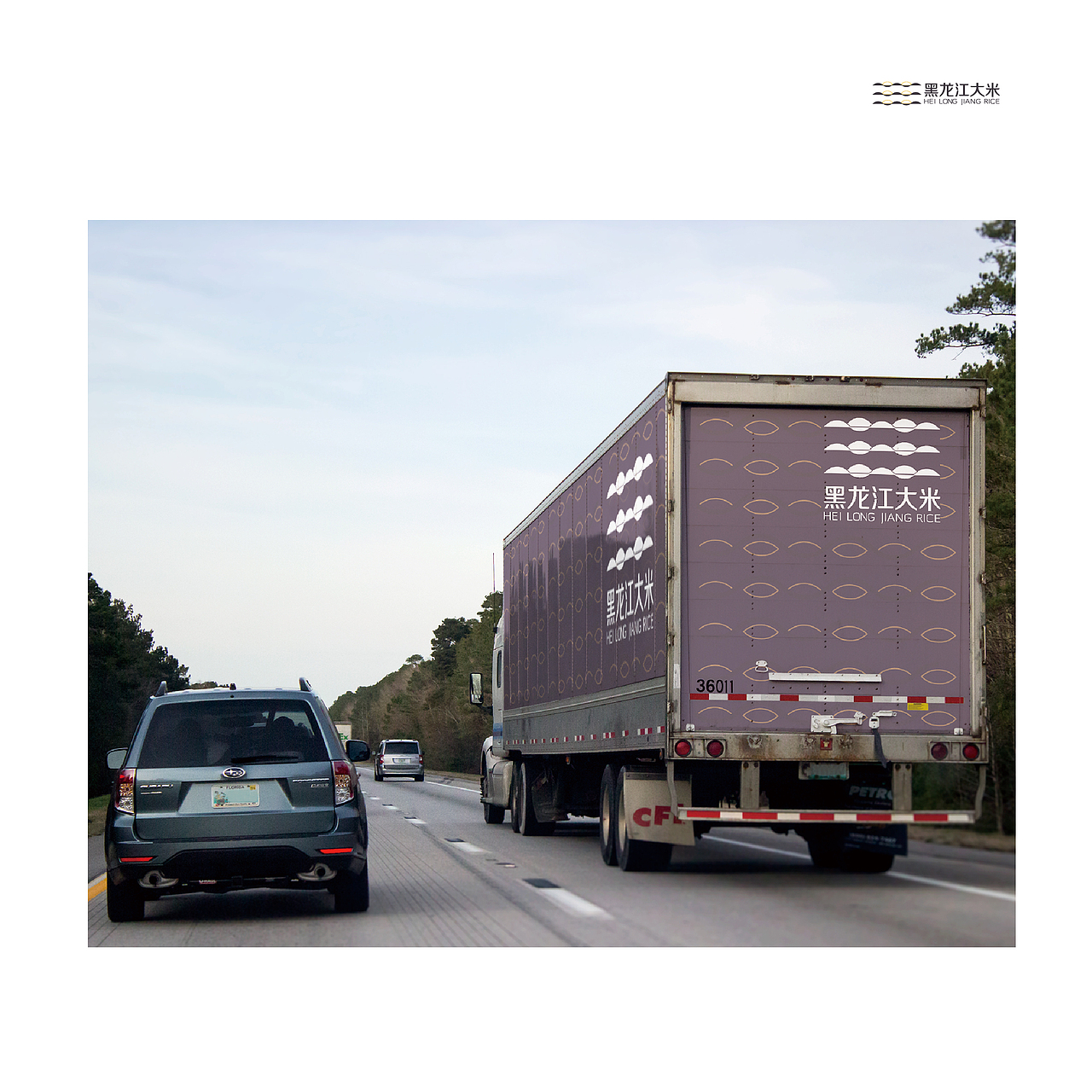 《HLJ大米品牌设计》（图ZMTE5NjYzMTY0） - 品牌 - 站酷设计师蓝牧原创素材 - 站酷ZCOOL