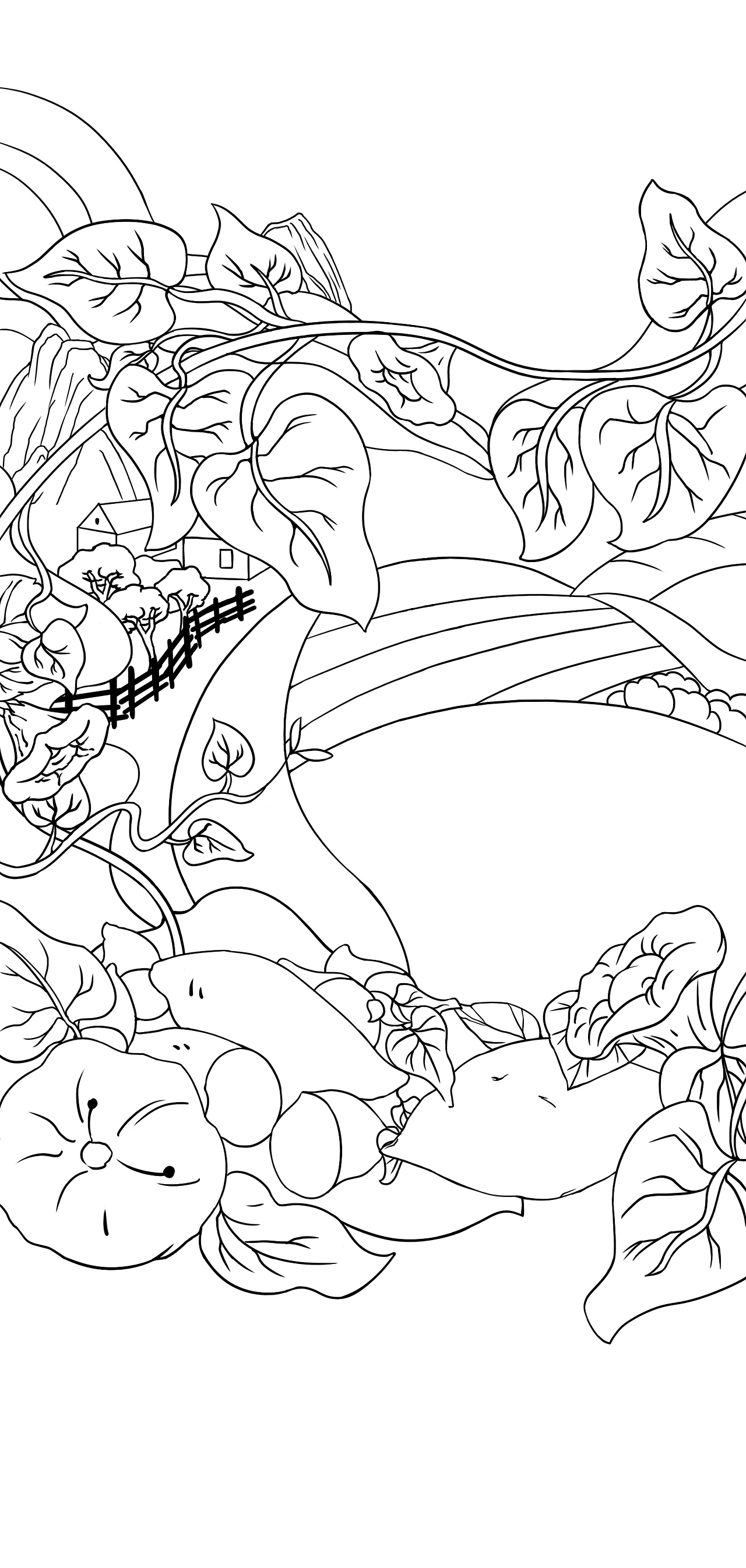 纯红薯鲜粉条 插画包装