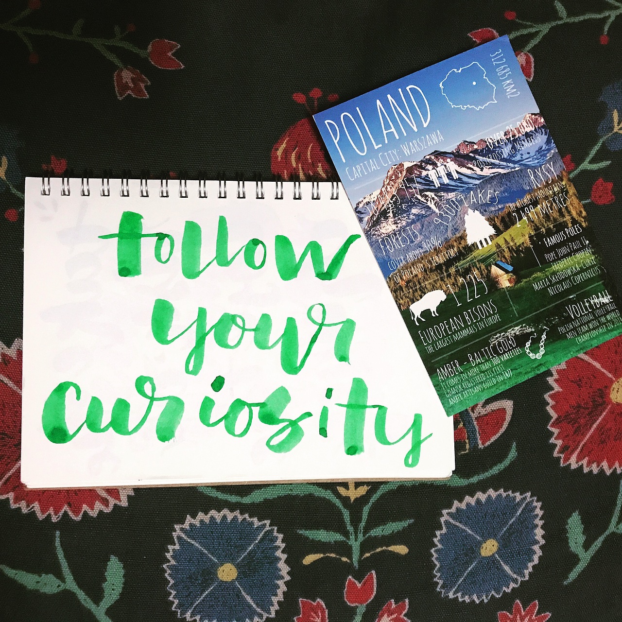 Brush lettering 日常联系（图ZOTI5Mzc3ODA=） - 书法 - 站酷设计师大强很忙原创素材 - 站酷ZCOOL