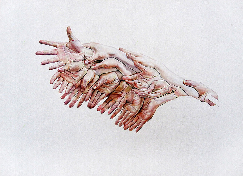 李小葱《手羽》--彩铅画（图ZNDUzMDYwNA==） - 绘画 - 站酷设计师超超的青葱原创素材 - 站酷ZCOOL