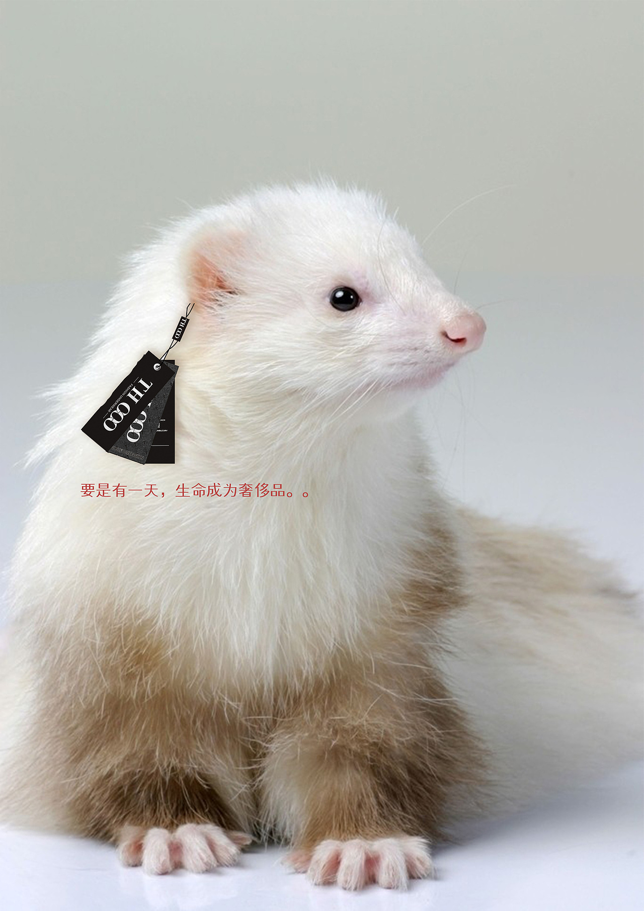 公益海报（图ZMzc3NTQxNDg=） - 海报 - 站酷设计师炭笔粗细原创素材 - 站酷ZCOOL