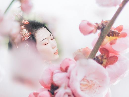 【十二花神】---梅花