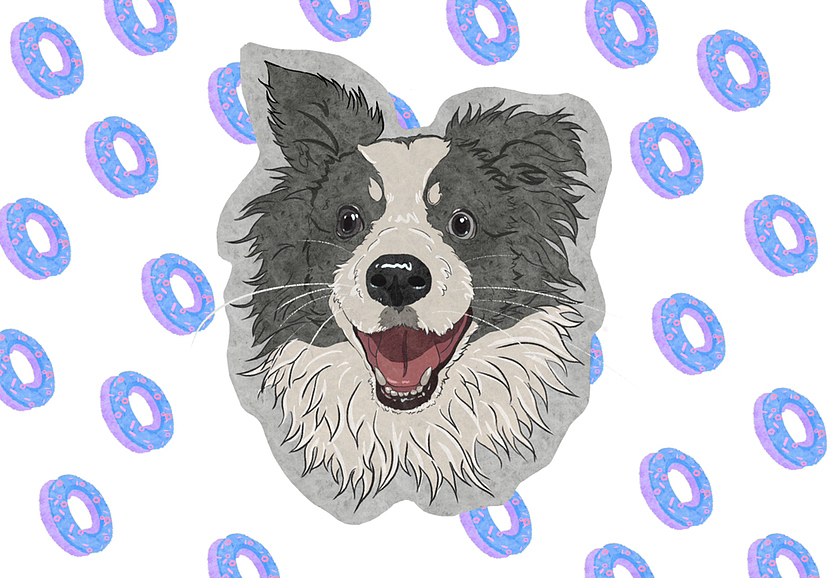 宠物头像插画 | procreate