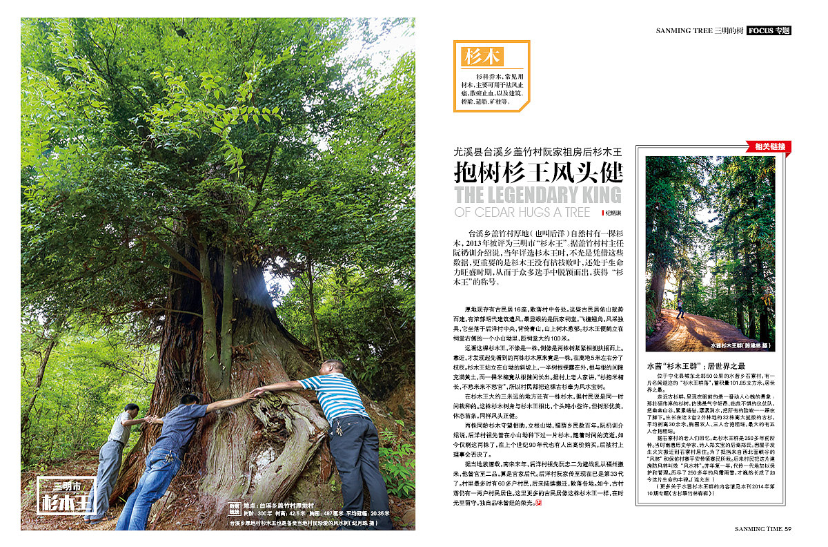《时代三明》杂志-专题·三明的树-封面:李家乡鲜水塘