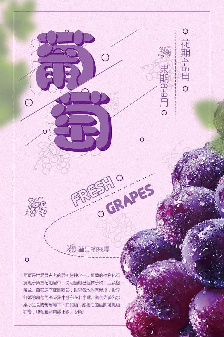 葡萄海报（图ZMjM1NTU1MTU2） - 海报 - 站酷设计师Zshmily原创素材 - 站酷ZCOOL