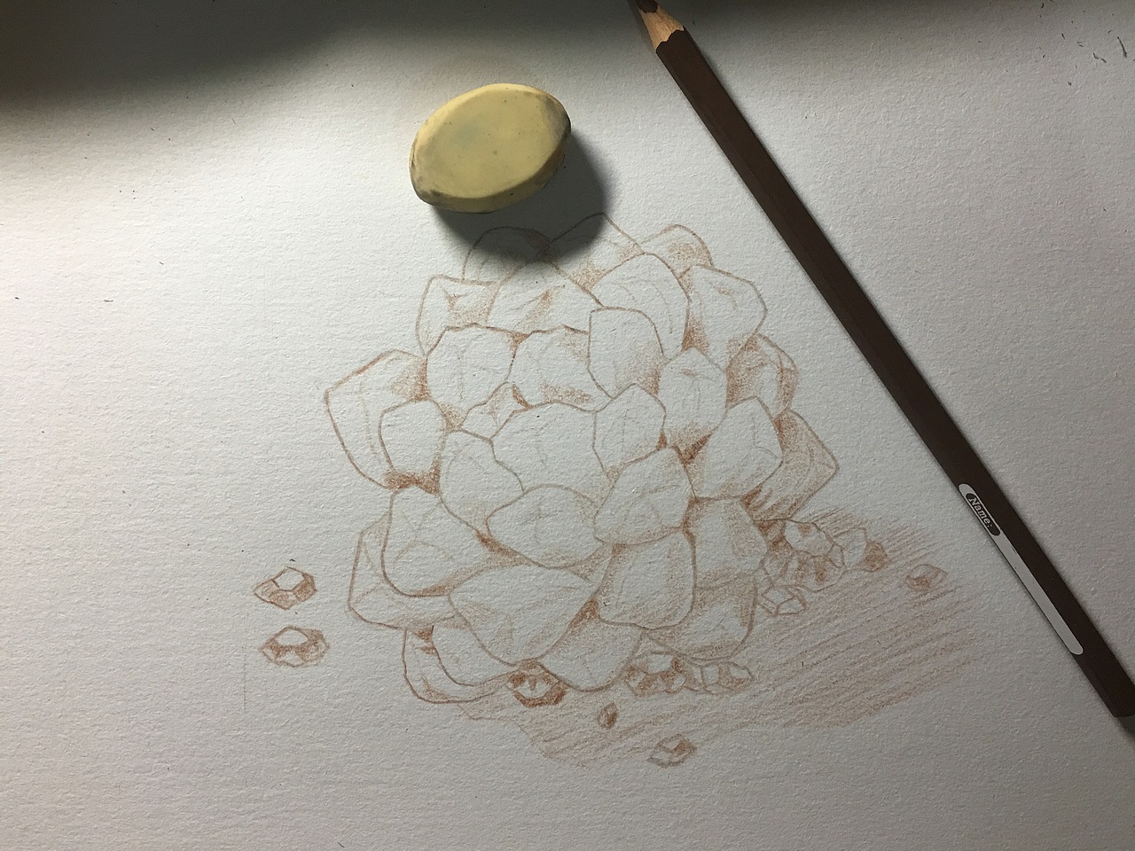 【彩铅】多肉植物