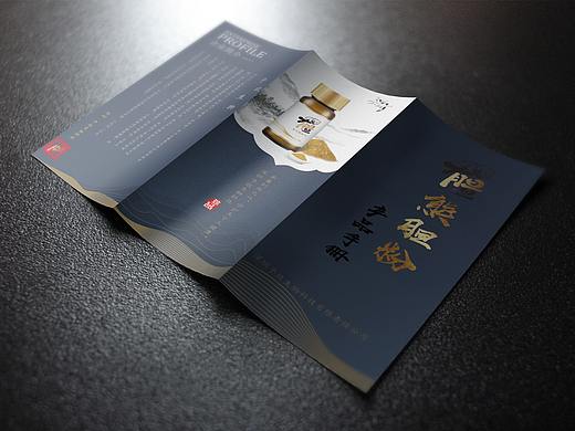 产品宣传三折页海