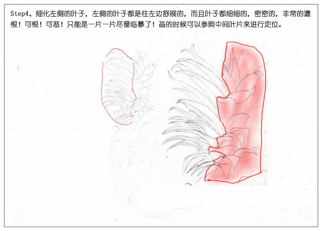 【驴大萌彩铅】手绘24节气水果图鉴 谷雨菠萝