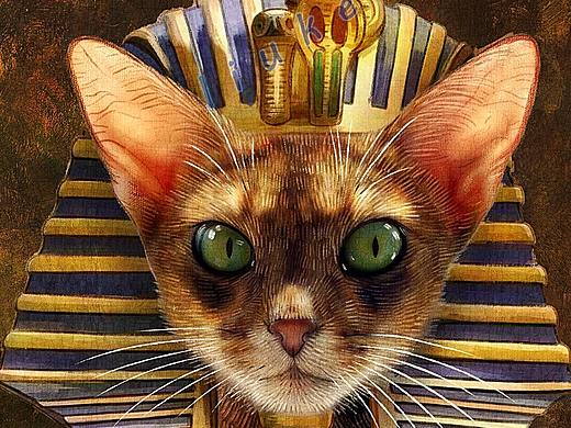 法老猫插画