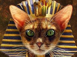 猫