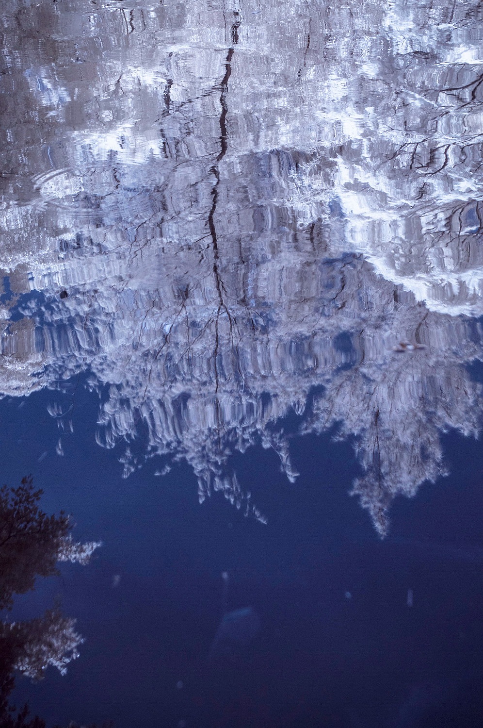 假如深圳下雪了