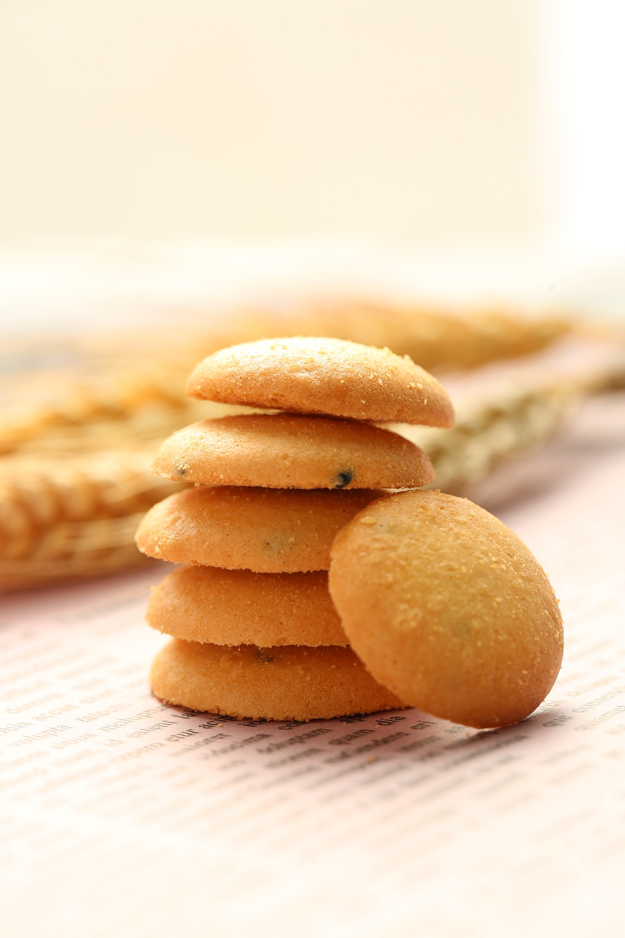 香港奖门人 小黄饼