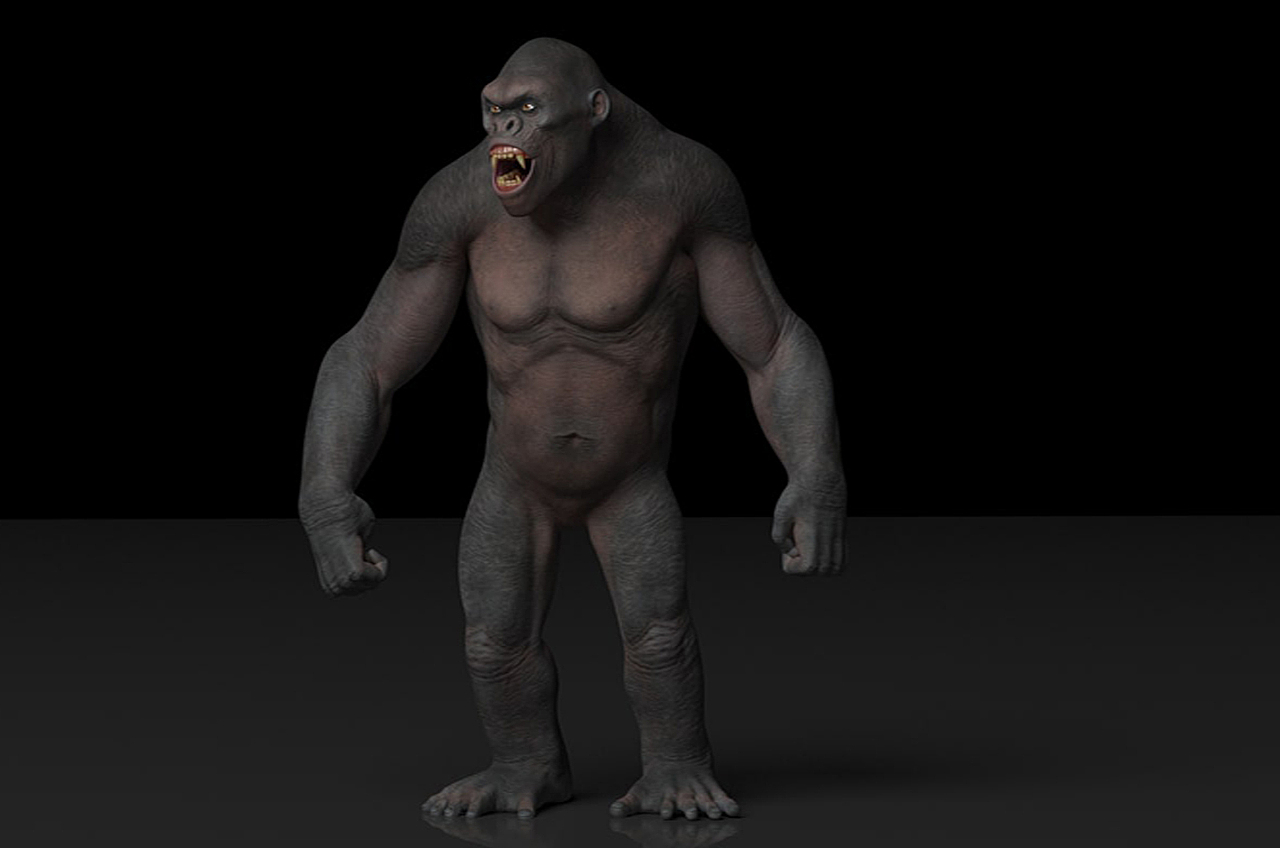 大猩猩3d建模绑定