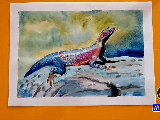 水彩画如何画两栖动物-蜥蜴