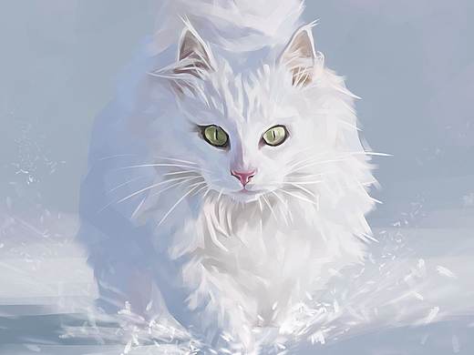雪地白猫