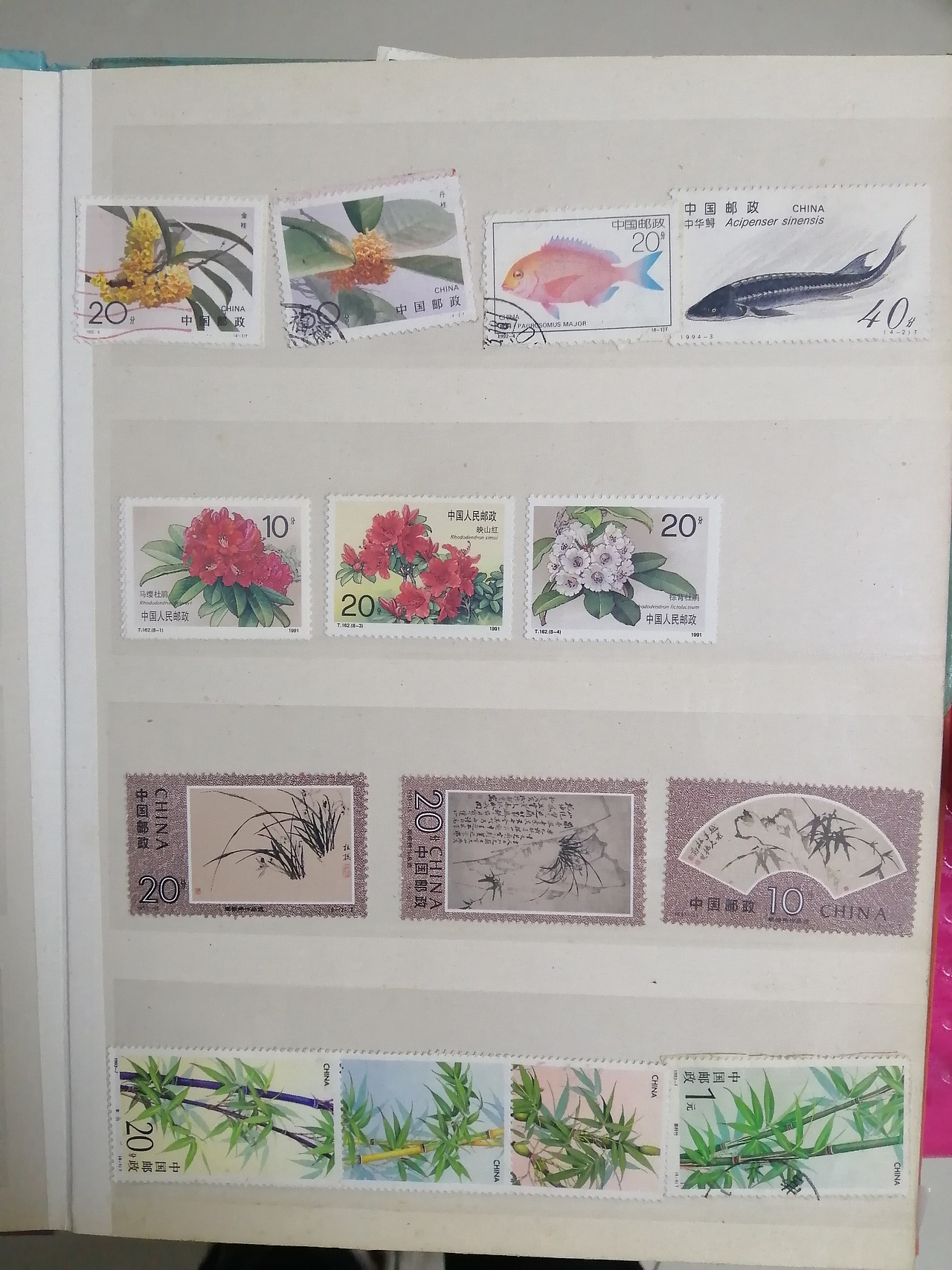 邮票（图ZMjQ4MTQ2OTcy） - 其他 - 站酷设计师茶花先生呀原创素材 - 站酷ZCOOL