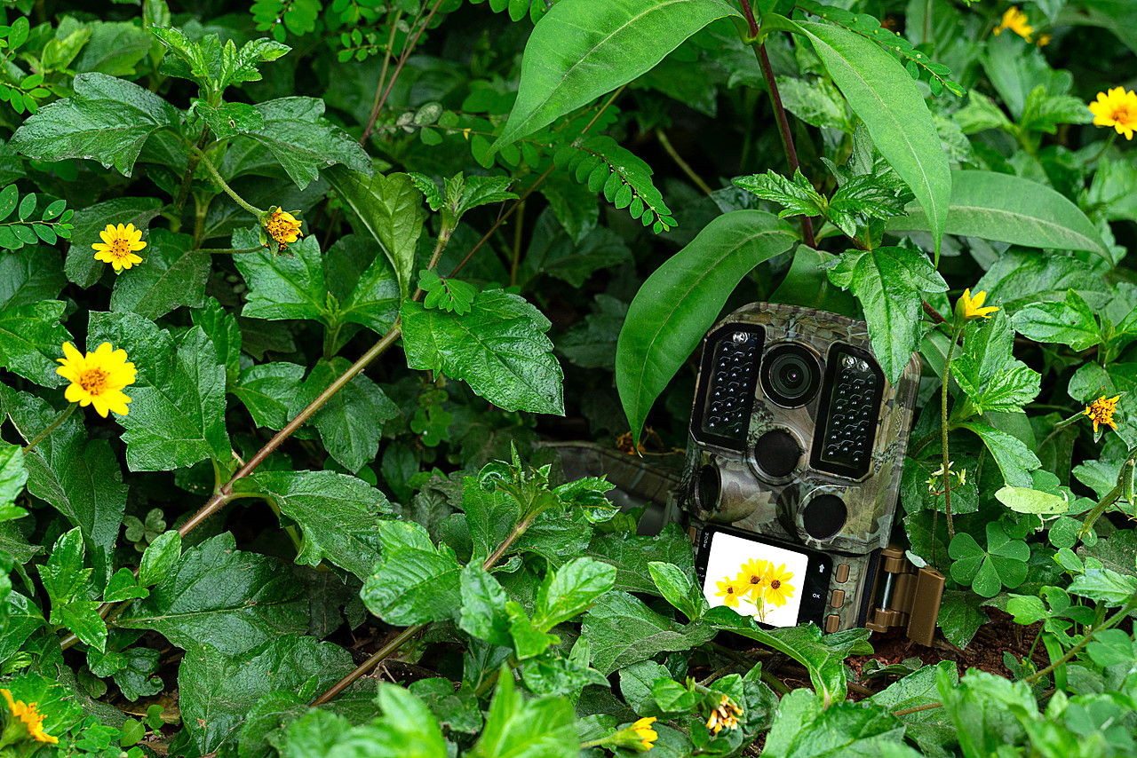 打猎相机