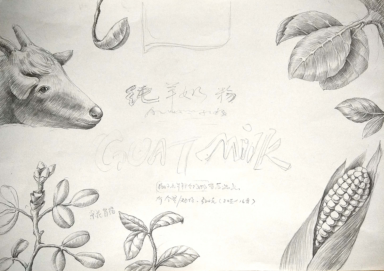 荔羊羊奶粉包装设计|平面|包装|喜欢画画而已_原创作品-站酷zcool